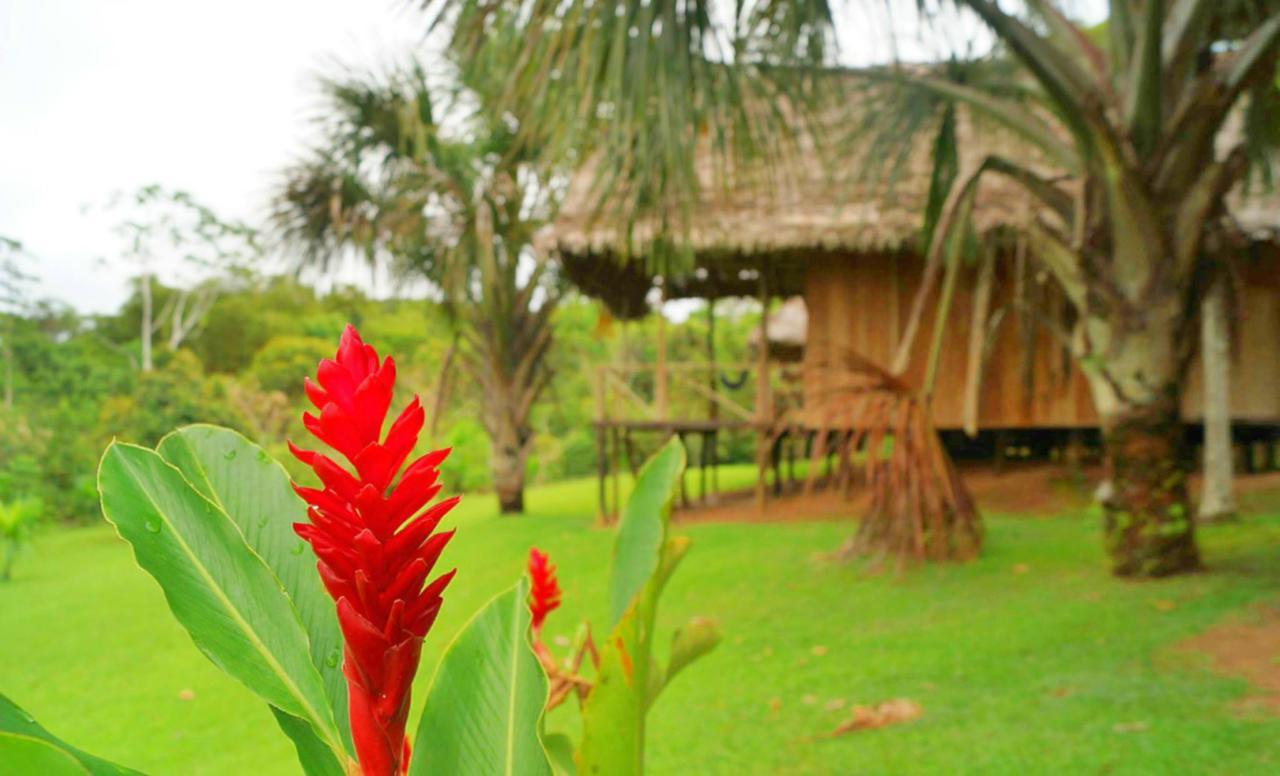 Pacaya Samiria Amazon Lodge Nauta Eksteriør billede
